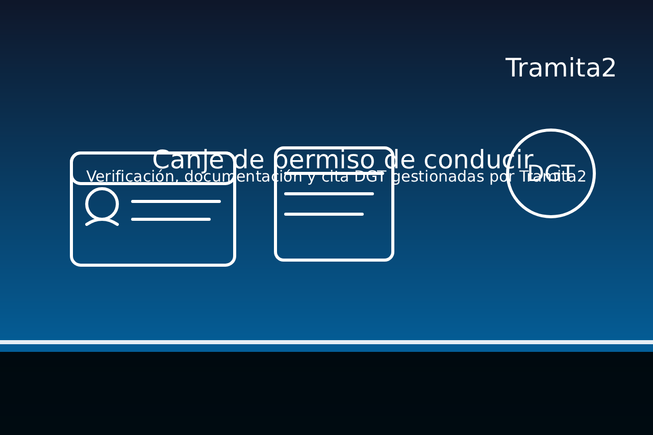 CANJE DE PERMISO DE CONDUCIR - BLOG